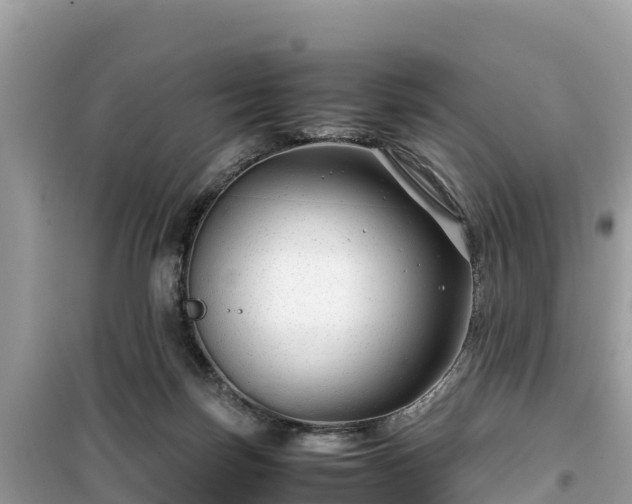 X0000099510171200805221430