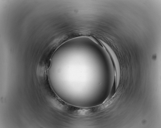 X0000099510172200805221430