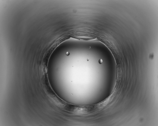 X0000099510174200805221430