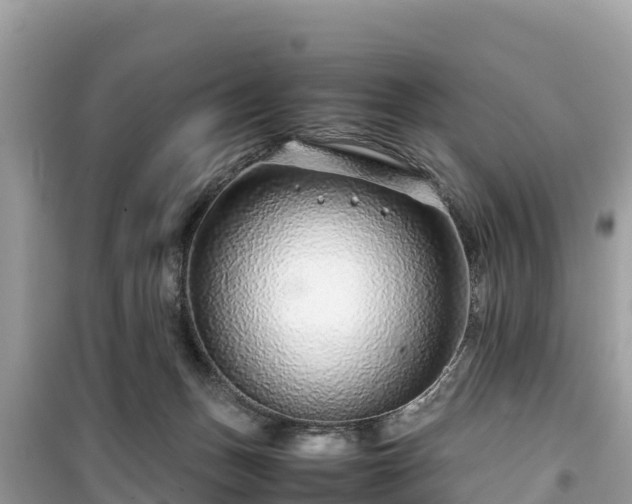 X0000099510175200805221430