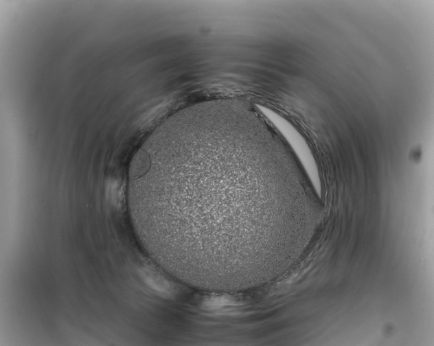 X0000099510177200805221430