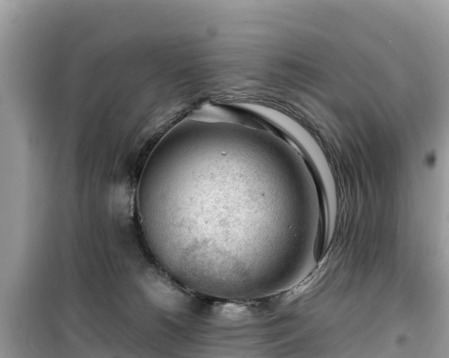 X0000099510180200805221430