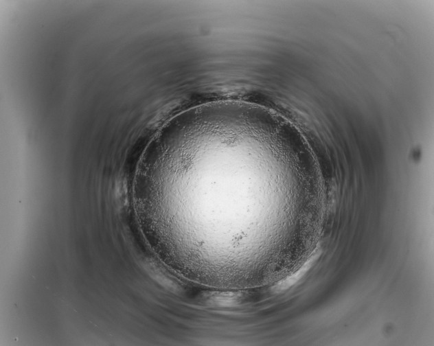 X0000099510182200805221430