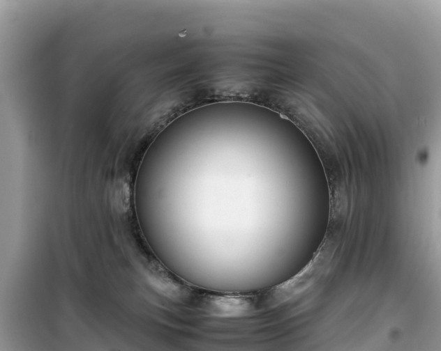 X0000099510183200805221430