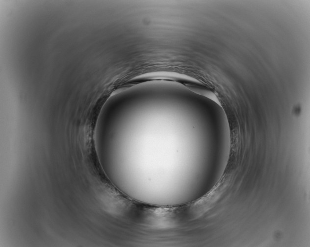 X0000099510184200805221430