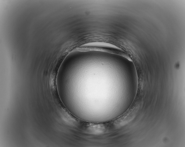 X0000099510185200805221430