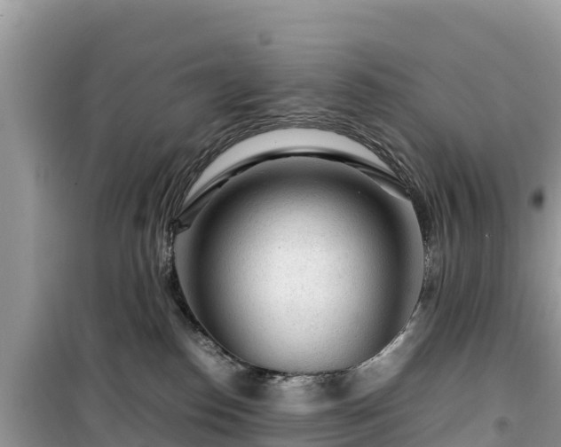 X0000099510186200805221430