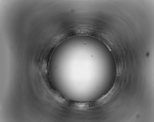 X0000099510187200805221430