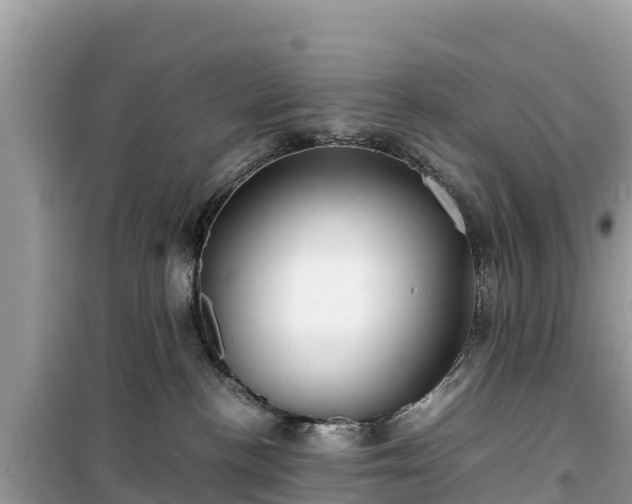 X0000099510188200805221430