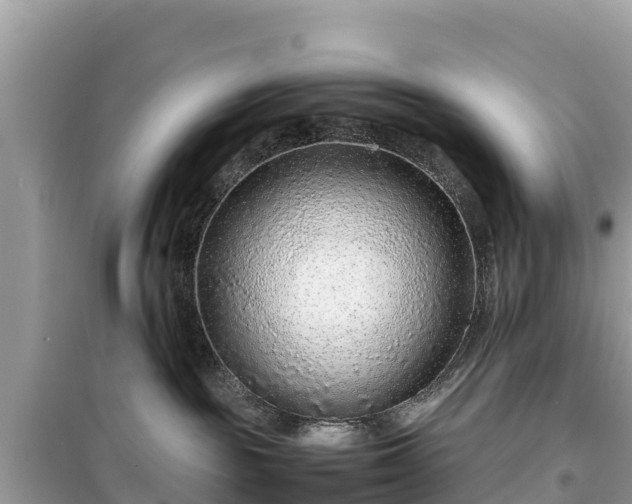 X0000099510189200805221430