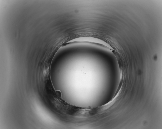 X0000099510190200805221430