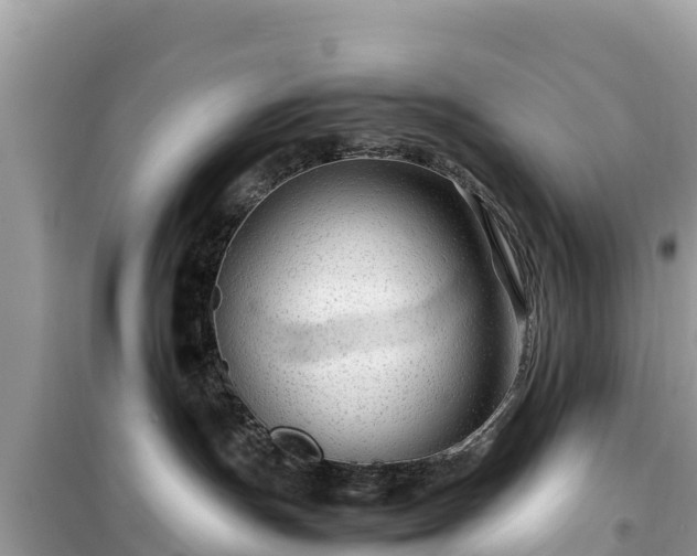 X0000099510191200805221430