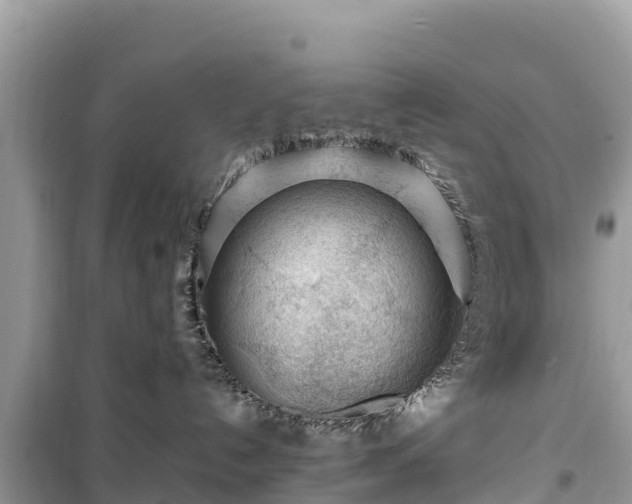X0000099510192200805221430
