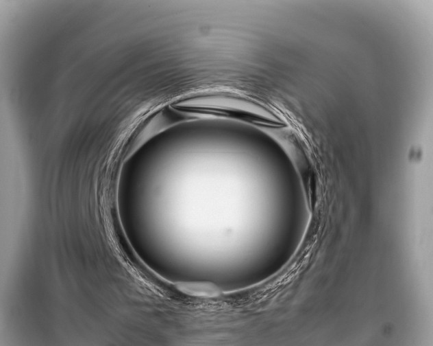 X0000099510193200805221430