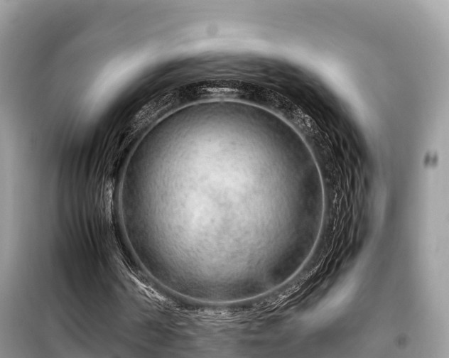 X0000099510194200805221430