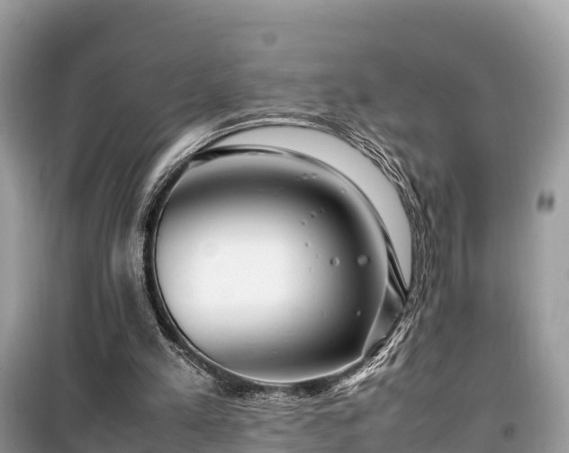 X0000099510197200805221430