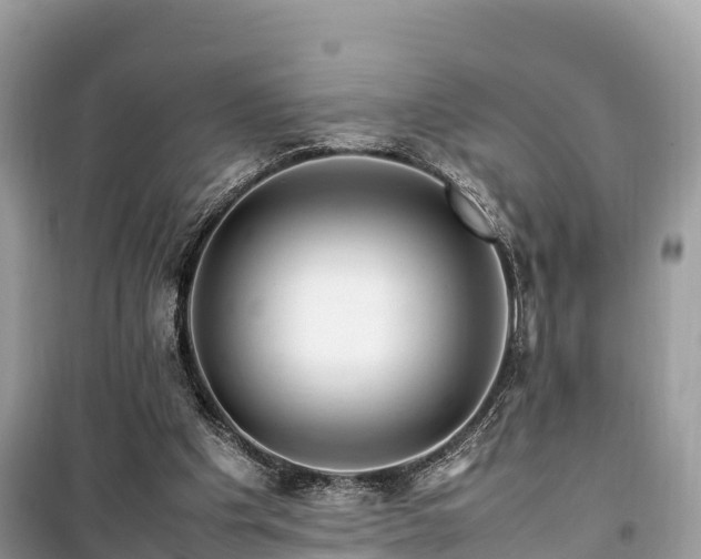 X0000099510201200805221429