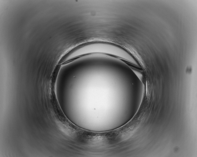 X0000099510204200805221429
