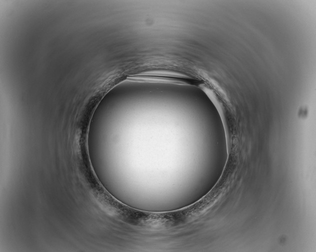 X0000099510209200805221429