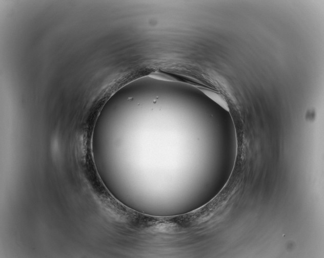 X0000099510210200805221429