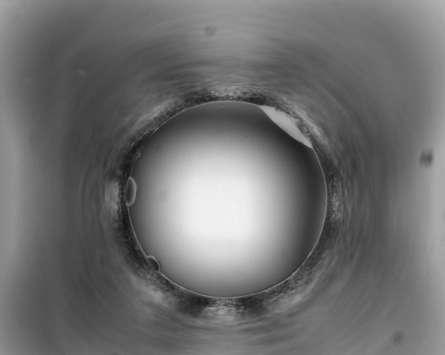 X0000099510211200805221429