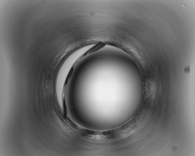 X0000099510212200805221429