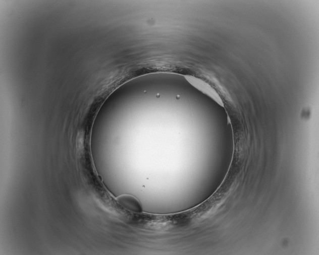 X0000099510213200805221429
