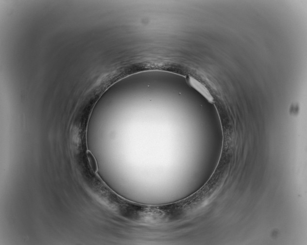 X0000099510215200805221429