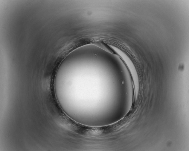 X0000099510217200805221429