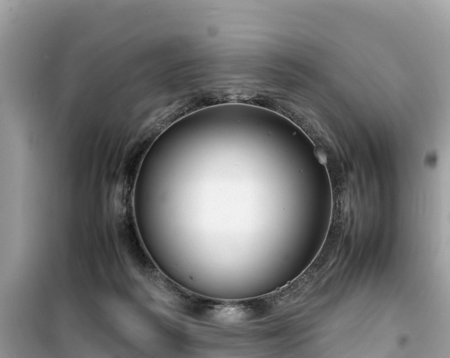 X0000099510218200805221429