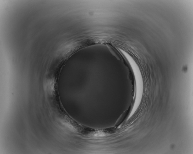 X0000099510219200805221429