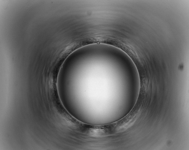 X0000099510220200805221429