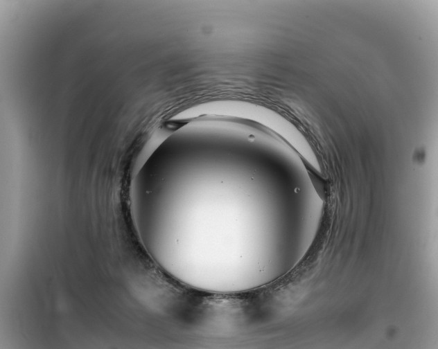 X0000099510221200805221429