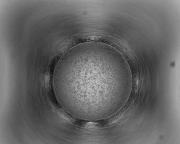 X0000099510222200805221429