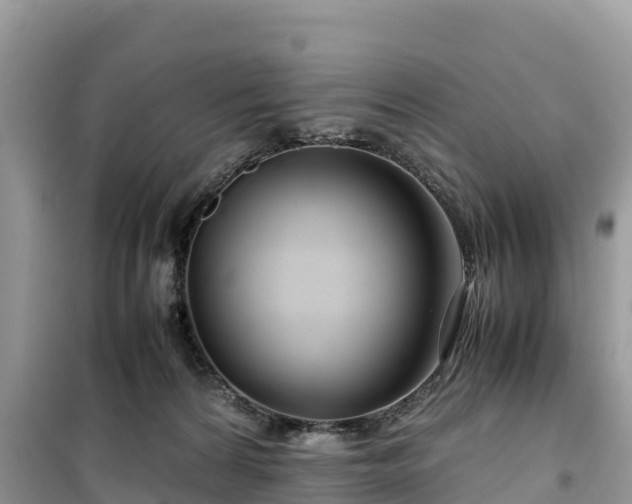 X0000099510224200805221429