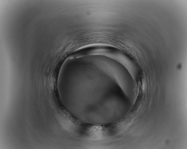 X0000099510227200805221429