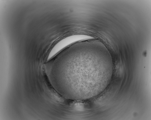 X0000099510228200805221429