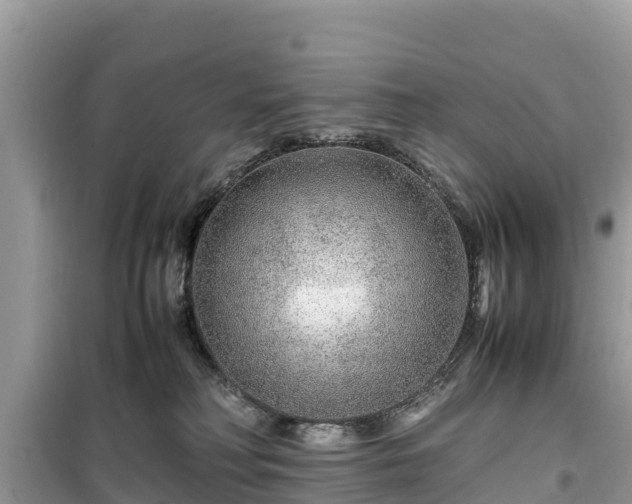 X0000099510230200805221429