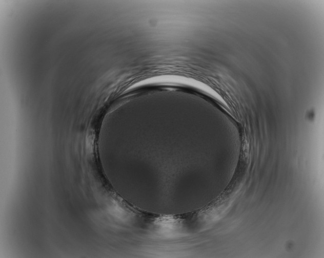 X0000099510231200805221429