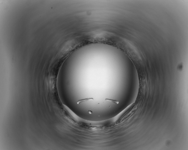 X0000099510232200805221429