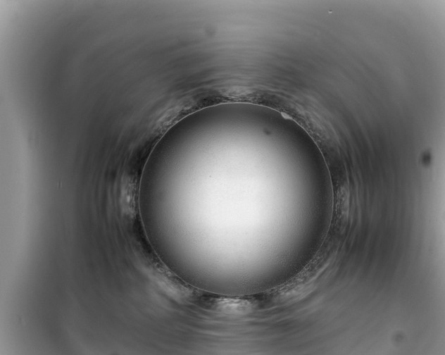 X0000099510234200805221429