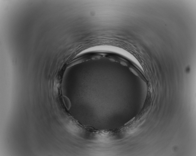 X0000099510235200805221429