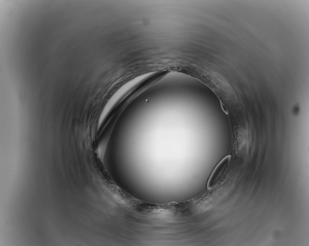 X0000099510236200805221429