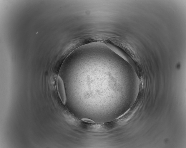 X0000099510237200805221429
