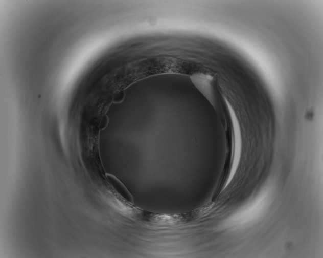 X0000099510239200805221429