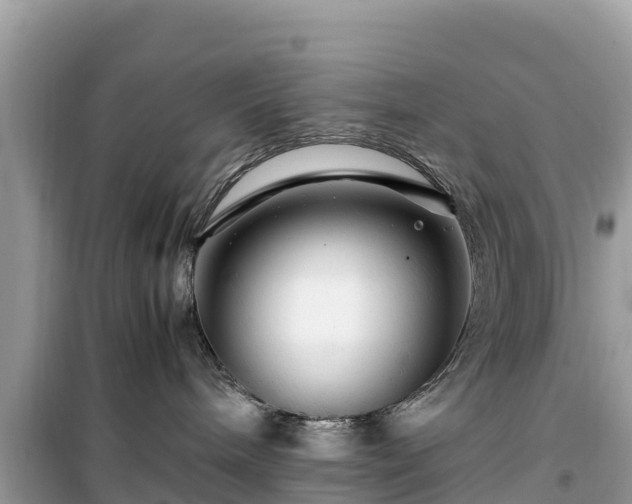 X0000099510240200805221429