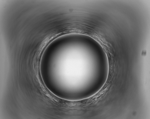 X0000099510241200805221428