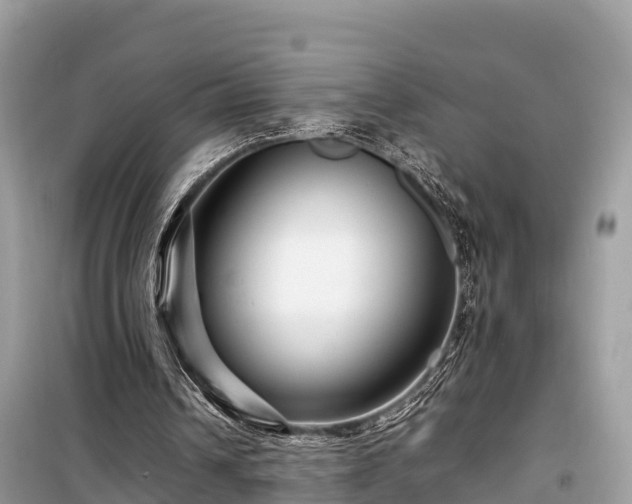 X0000099510242200805221428