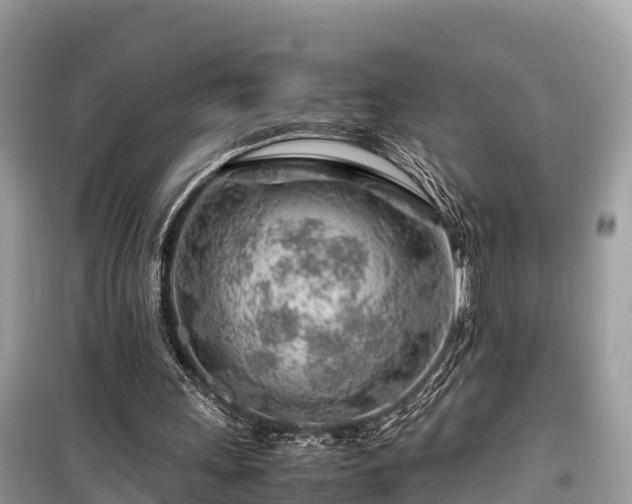 X0000099510243200805221428