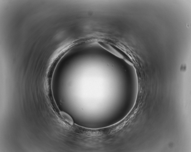 X0000099510245200805221428